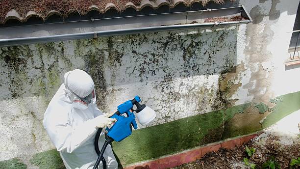 Trusted Mold Inspection service in Newton Lower Falls, MA - Cheap Mold Removal